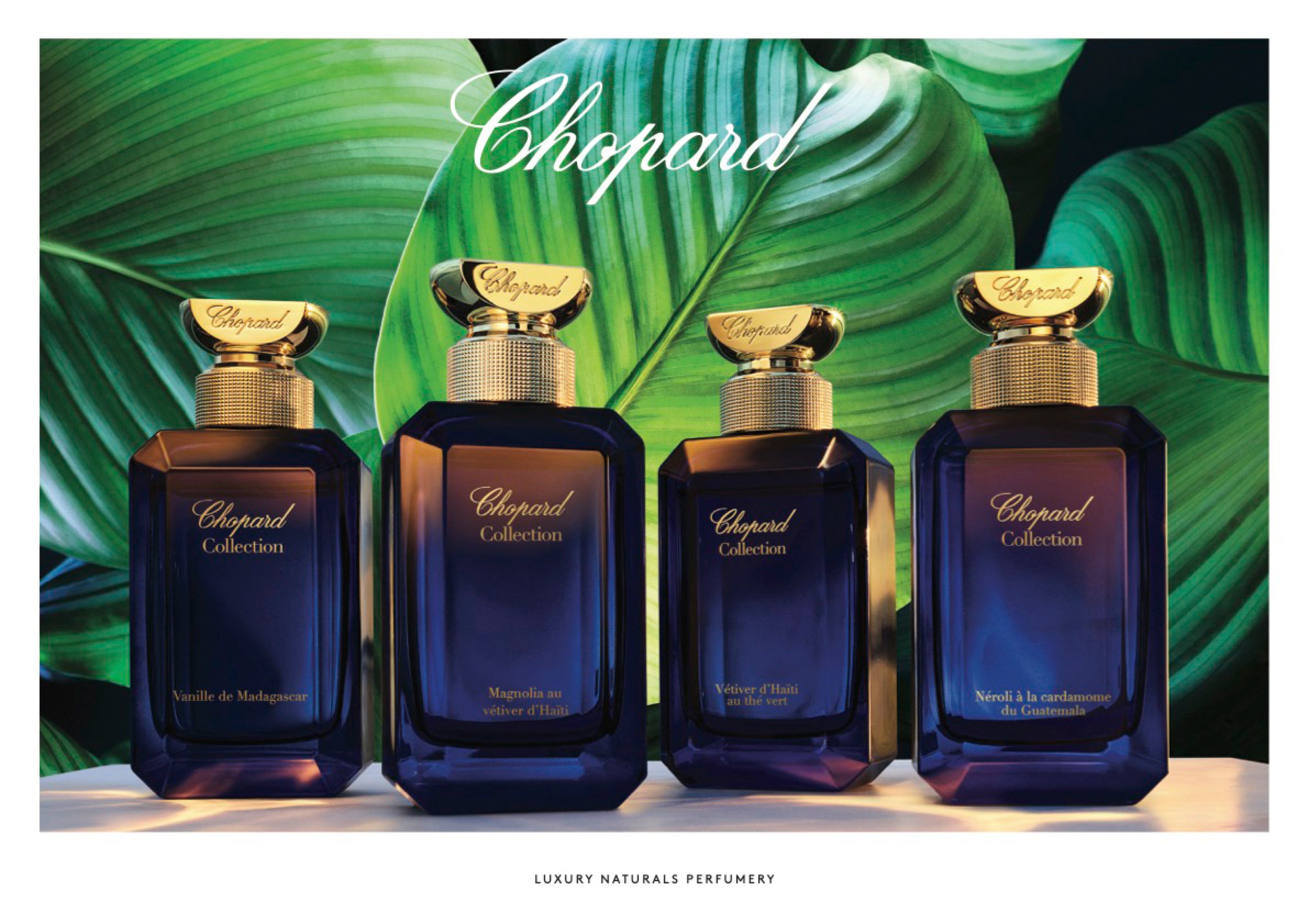Chopard vanille de 2025 madagascar